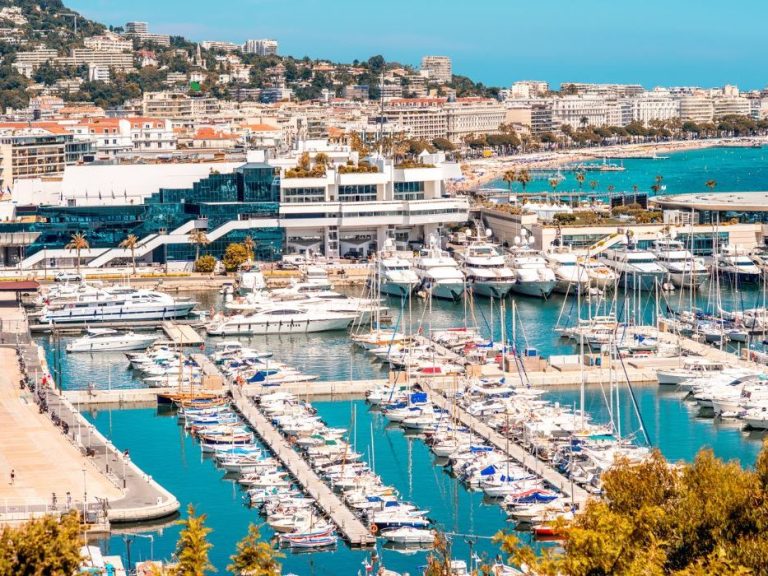 View of a marina with yachts and buildings in the background.