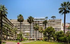 Modern building with palm trees in the foreground under a clear sky.